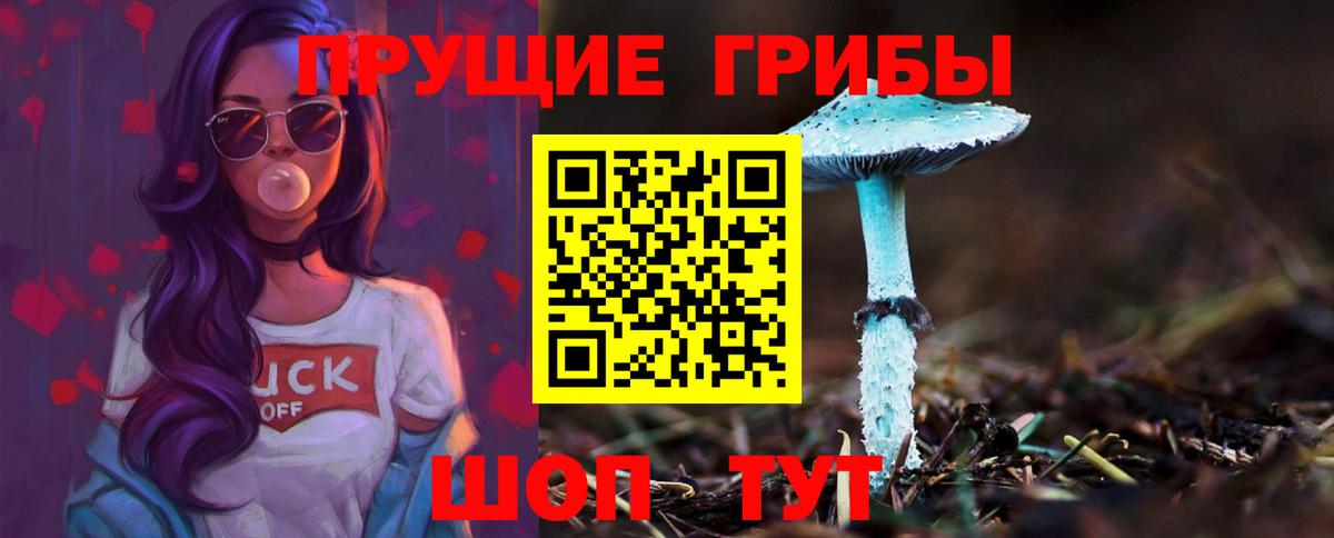 Галлюциногенные грибы Psilocybine cubensis  Вход с VPN  купить   Томск 